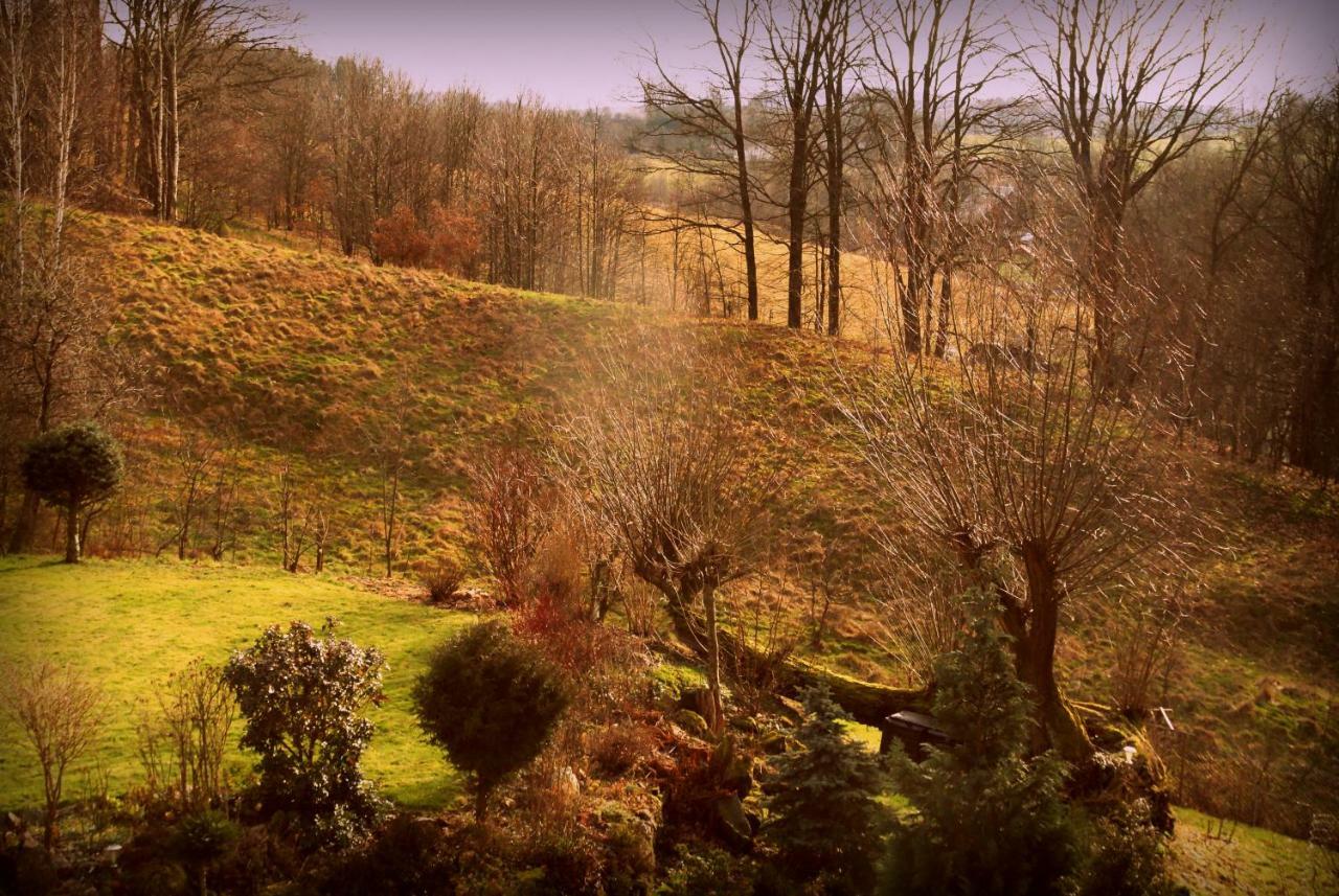 Villa Agro Na Gorce Barcinek Esterno foto